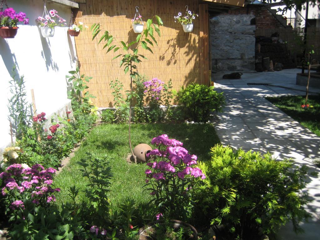 Aseva House Guest House Μπάνσκο Εξωτερικό φωτογραφία