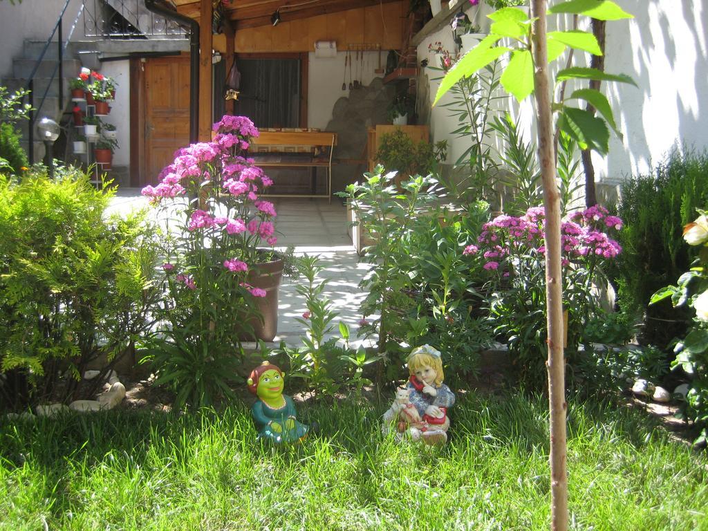 Aseva House Guest House Μπάνσκο Εξωτερικό φωτογραφία