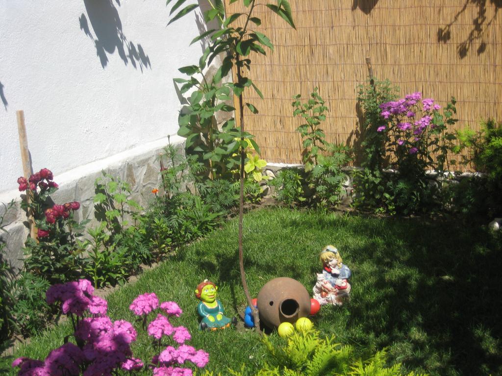 Aseva House Guest House Μπάνσκο Εξωτερικό φωτογραφία