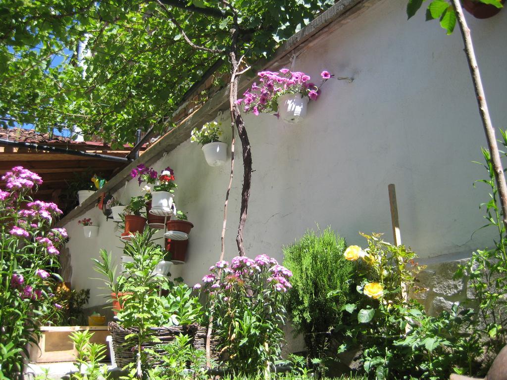 Aseva House Guest House Μπάνσκο Εξωτερικό φωτογραφία