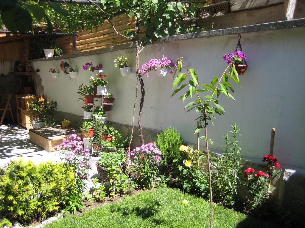 Aseva House Guest House Μπάνσκο Εξωτερικό φωτογραφία