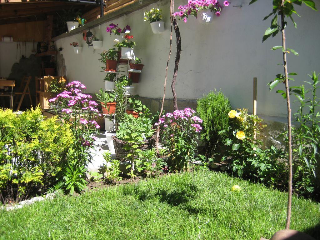 Aseva House Guest House Μπάνσκο Εξωτερικό φωτογραφία