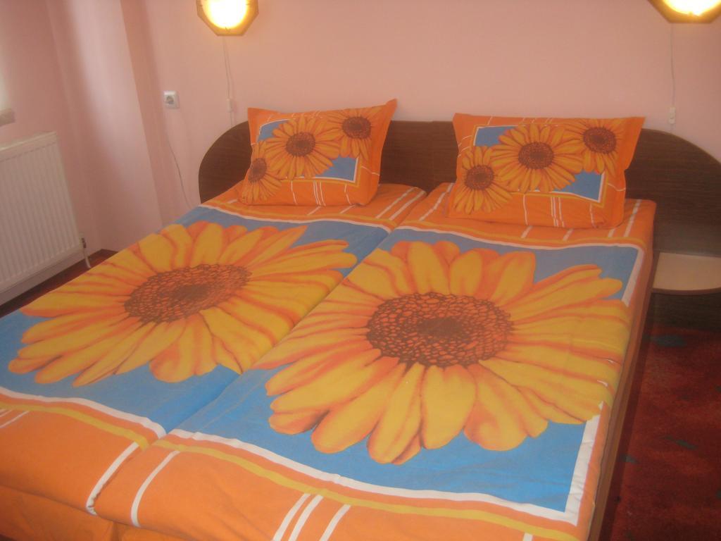 Aseva House Guest House Μπάνσκο Εξωτερικό φωτογραφία
